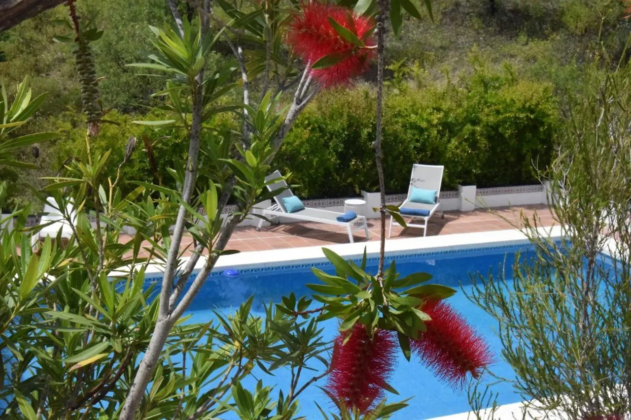 B&B And Apartments Cortijo La Zapatera Canillas de Aceituno